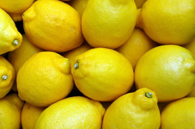 Limone Femminello di Siracusa - Agricola Oliva